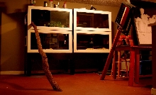 cage set up