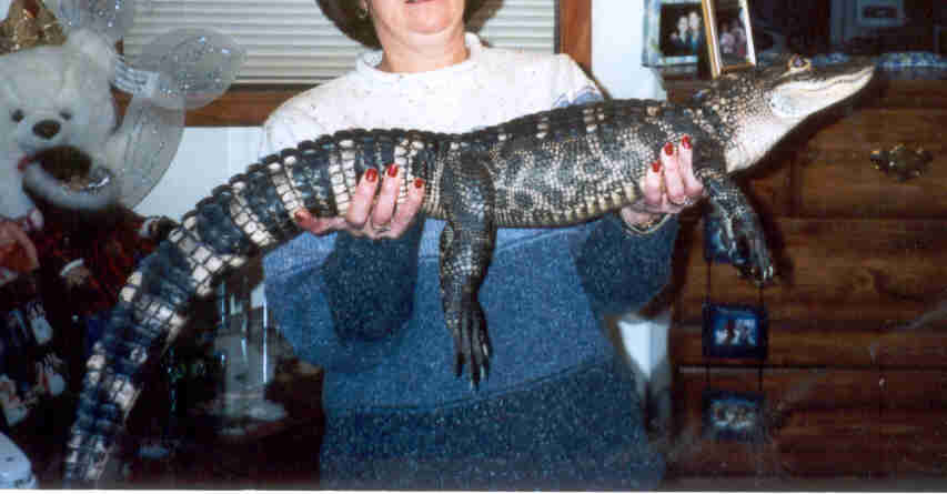 Pic of baby2