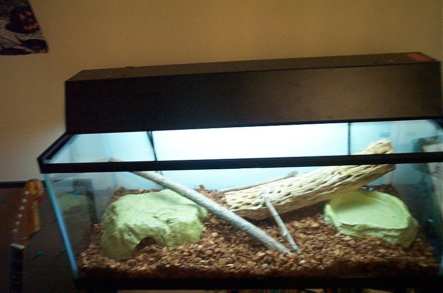 New Home