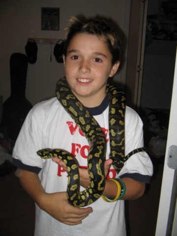 My Son & My New Jungle Carpet