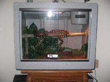 In her new vision cage