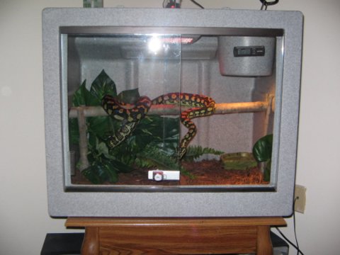 In her new vision cage