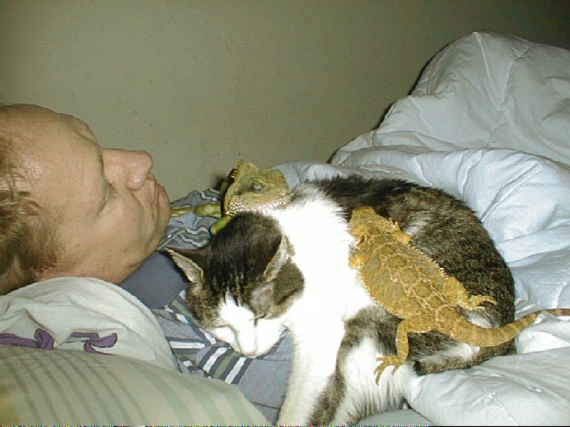 Naptime at Our House...