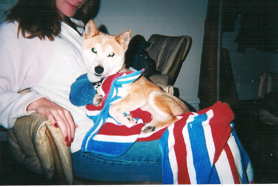 Foxy in towl