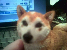 Foxy statue face