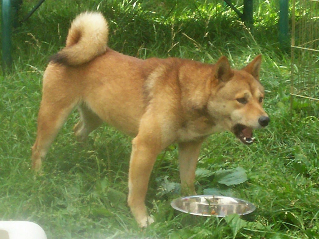 spice eating