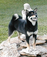 Thatcher Roxies mom