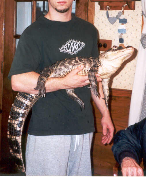 Gator