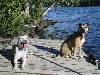 Hungry Jack lake