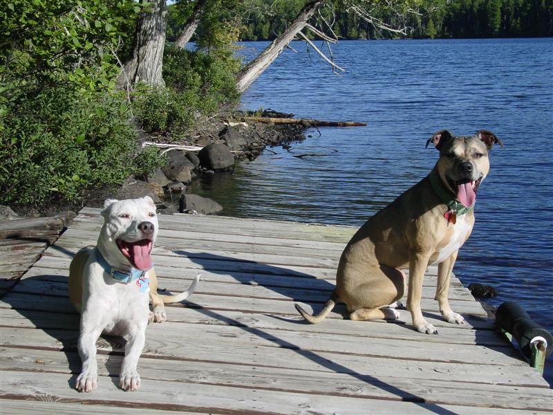 Hungry Jack lake