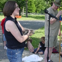 Urbana cub scout day camp 2