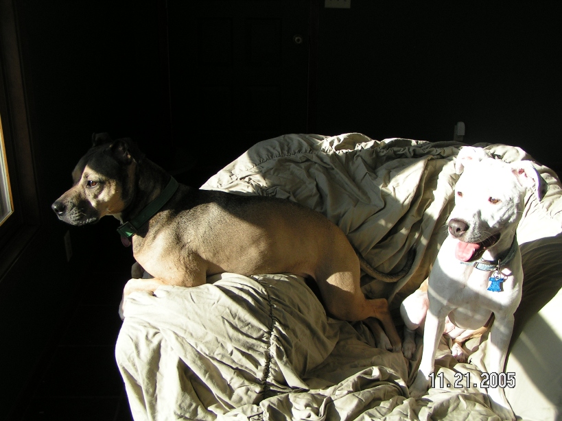 Brandy & Mara
