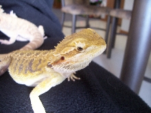 Liela's closeup