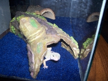 in her hide