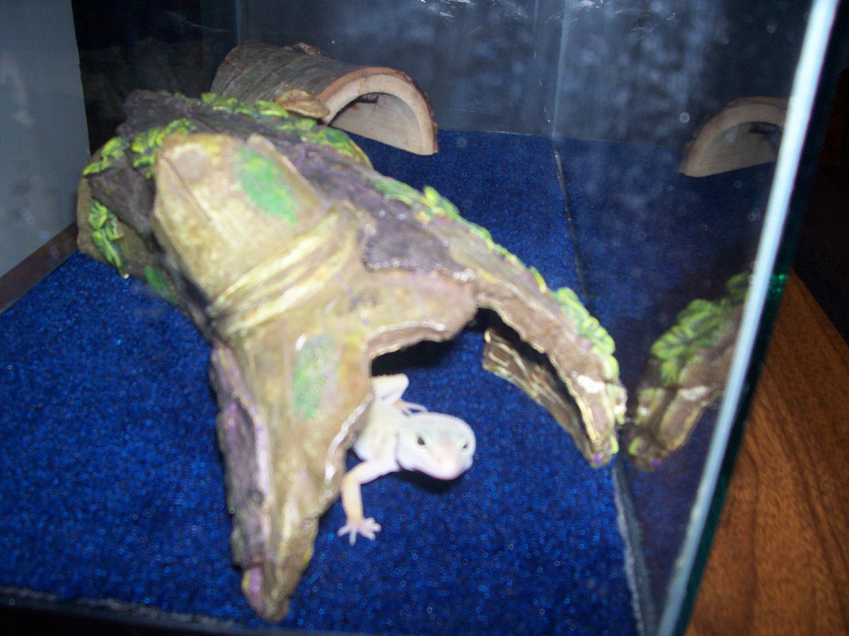 in her hide