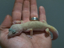 in my hand