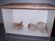 temp cage made from scrap wood