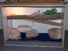 finished cage