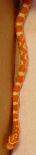 Creamsicle PostShed 11-19-2005