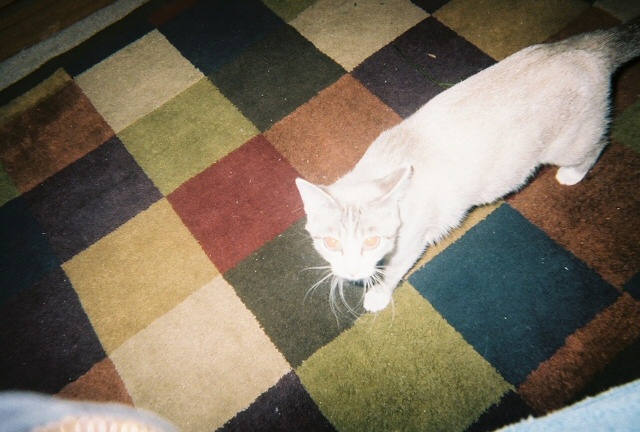 you are taking my picture again!!