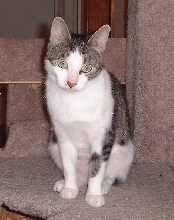 Zoe