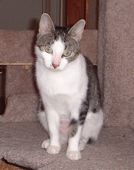 Zoe
