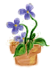 Violets
