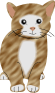 Kitten