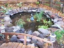 My first pond