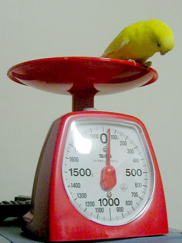 30 grams