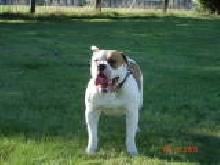 tyson