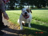 tyson