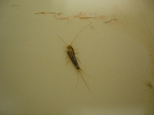 What is this?