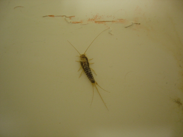 What is this?