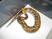 marble 3