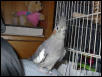 sweetie again