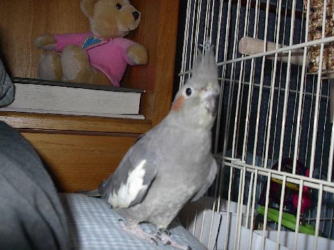 sweetie again