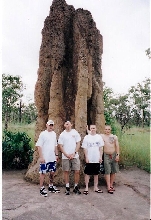 Termite Mound