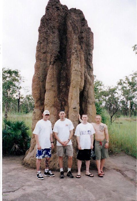 Termite Mound