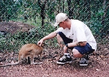 Wallaby