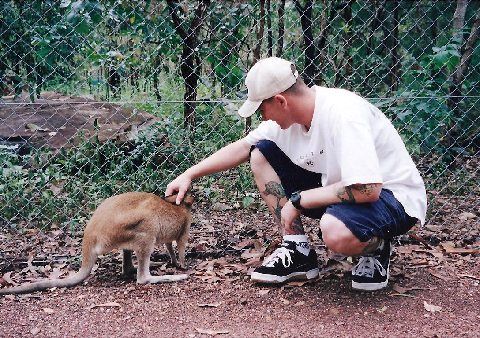 Wallaby