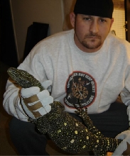 Crocodile Monitor
