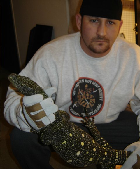 Crocodile Monitor