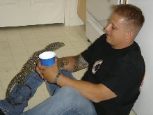 Croc sitter!