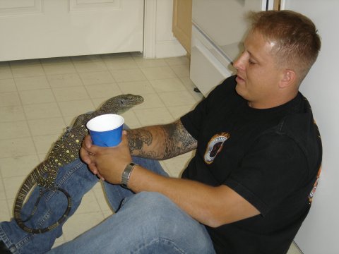 Croc sitter!