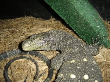 Hide Box Intrusion!