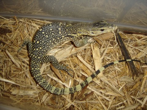 HY Water Monitor