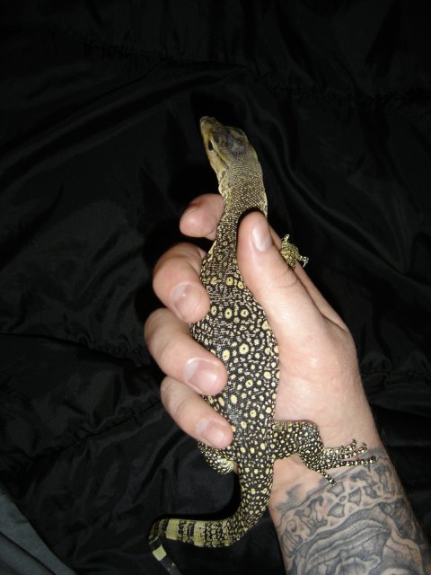 New HY Water Monitor
