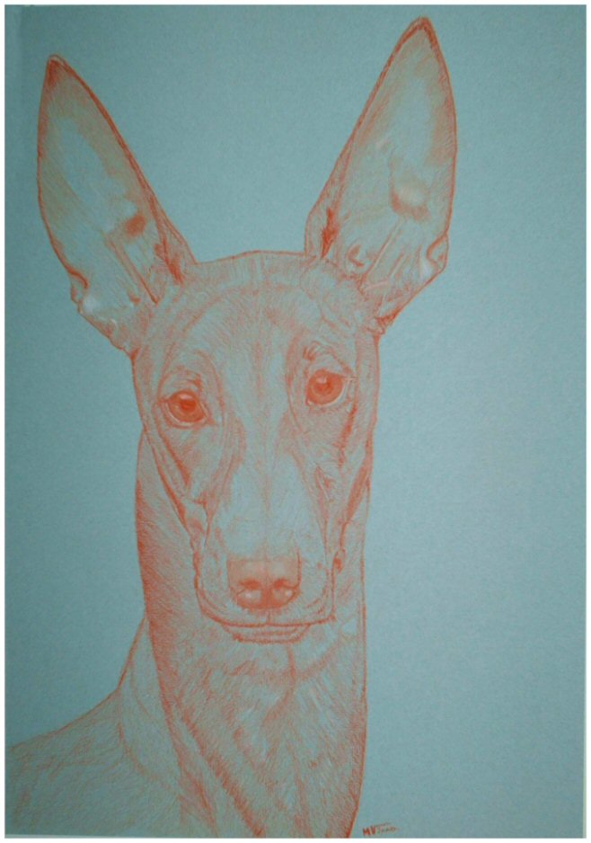Oortrait with "sanguine" of Sati by a talented French Artist