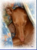 Sleep of winters...